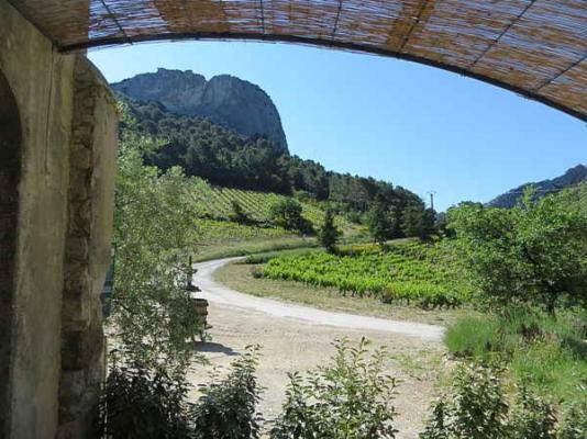 Вілла Domaine De Cassan Lafare Екстер'єр фото